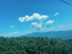 -牛背梁国家森林公园