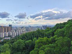-金鸡山公园