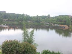 -枫香湖儿童公园