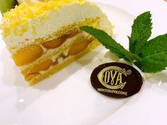 -COVA(上海K11艺术中心店)