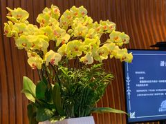 -上海外滩英迪格酒店