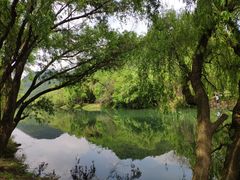 -贵阳市花溪国家城市湿地公园