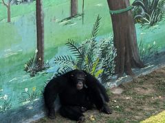-西霞口神雕山野生动物世界