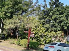 -大亚湾红树林城市湿地公园