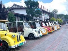 -铜川市金锁关石林