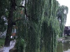 -西南交通大学(九里校区)