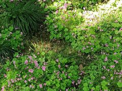 -白塘生态植物园