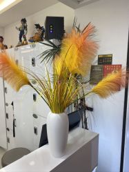 -HaLo hair studio