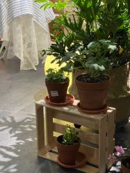 -芳香乐府疗愈空间·SPA·冥想