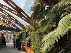 -怀托摩萤火虫洞