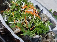 -越海渔村