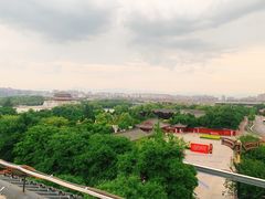 -亮宝楼国宴+文化陕菜
