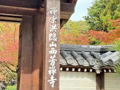 -西芳寺(苔寺)