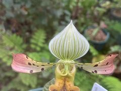 -国家植物园南园