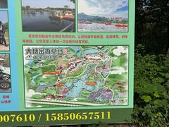 -大塘金香草谷