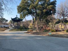 -无锡梅园公园