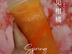 -CoCo都可(东城国贸店)