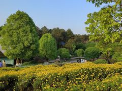 -铁山坪森林公园