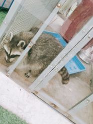 -萌宠亲子动物乐园(槐房万达店)