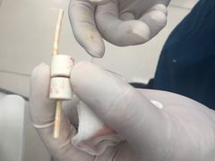 -纳吉亚猫专科动物诊疗中心(蒋宅口分院)
