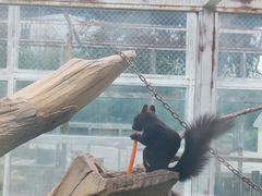 -大青山野生动物园