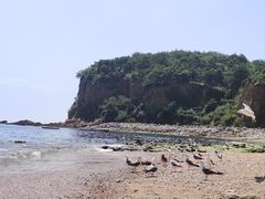 -棒棰岛宾馆景区