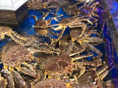 -新辣道鱼火锅(世纪金源购物中心店)