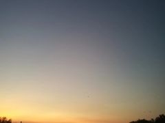 -盐洲岛
