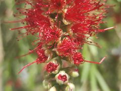 -沙河三洞古桥公园