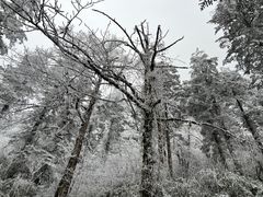 -峨眉山风景名胜区