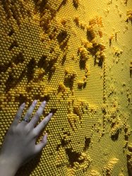 -幻贝家儿童乐园(苏州中心店)