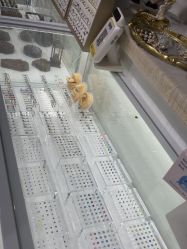 -AI艾耳·专业手工耳洞·穿孔美学馆