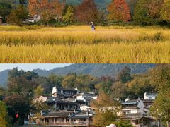 -塔川景区