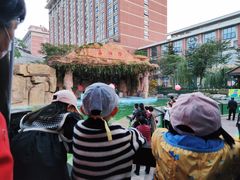 -灵玲国际马戏城