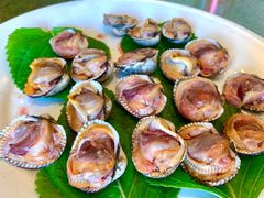-渔公码头·九龙湾国际饭店
