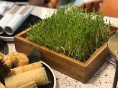 -椰子营·椰子鸡火锅(万象里店)