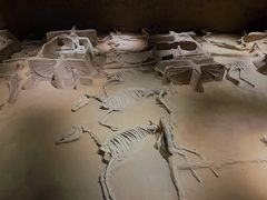 -洛阳周王城天子驾六博物馆