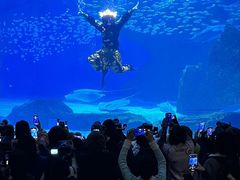 -海合安成都极地海洋公园