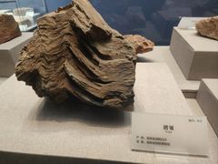 -湖南省地质博物馆