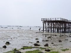 -北海金海湾红树林生态旅游区