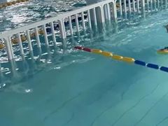 -蓝鲨游泳培训(回龙观店)