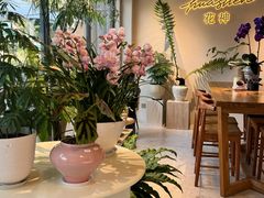 -花神·轻食简餐·咖啡馆·花卉绿植(荷兰花卉小镇店)