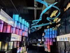 -同济大学四平路校区深海探索馆