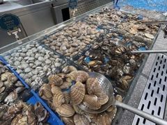 -半岛听涛蒸汽海鲜自助(K11店)
