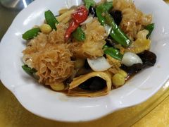 -鸽王世家(东华东路店)