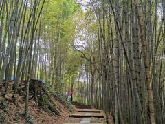 -西湖风景区十里琅珰-五云山