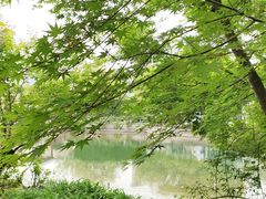 -汇龙潭