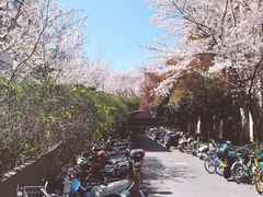 -浙江大学(玉泉校区)