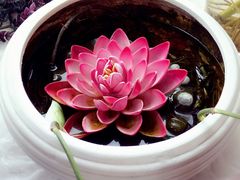-捌楼咖啡书吧(南开店)
