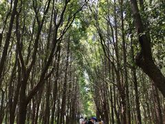 -同里国家湿地公园